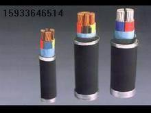 天津NH-YJV22與NH-YJV耐火交聯(lián)電力電纜 關(guān)鍵特性與應(yīng)用解析